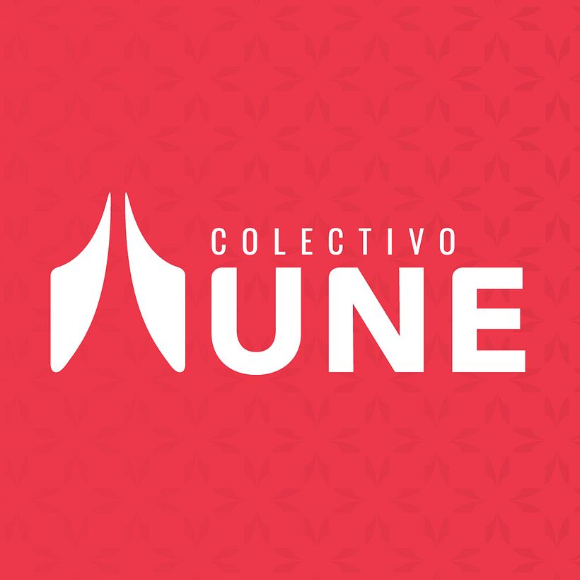 Colectivo UNE  4