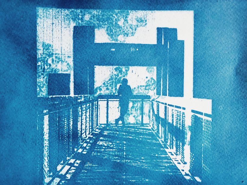 Mon projet du cours : Cyanotype : technique d'impression à la lumière 2