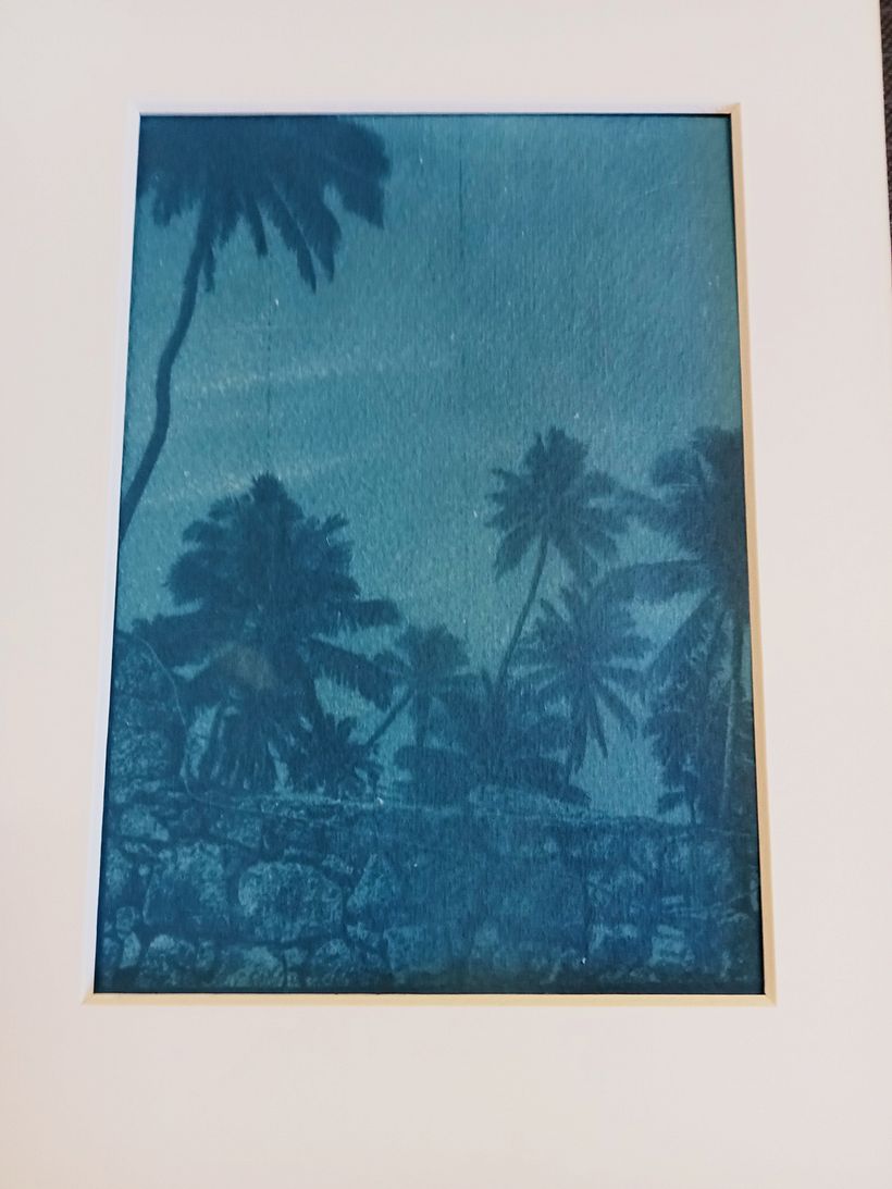 Mon projet du cours : Cyanotype : technique d'impression à la lumière 2