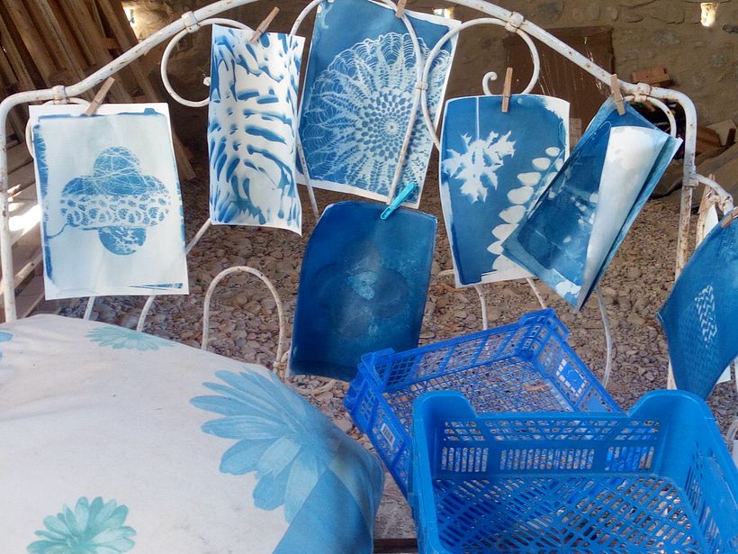 Mon projet du cours : Cyanotype : technique d'impression à la lumière 4