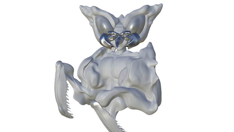 El Bixo Raro. 3D character creation. 9