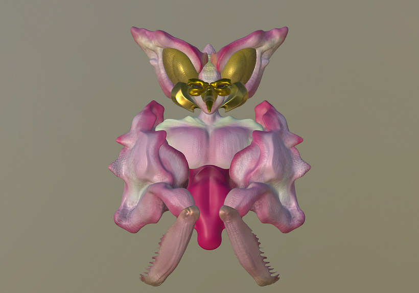 El Bixo Raro. 3D character creation. 6