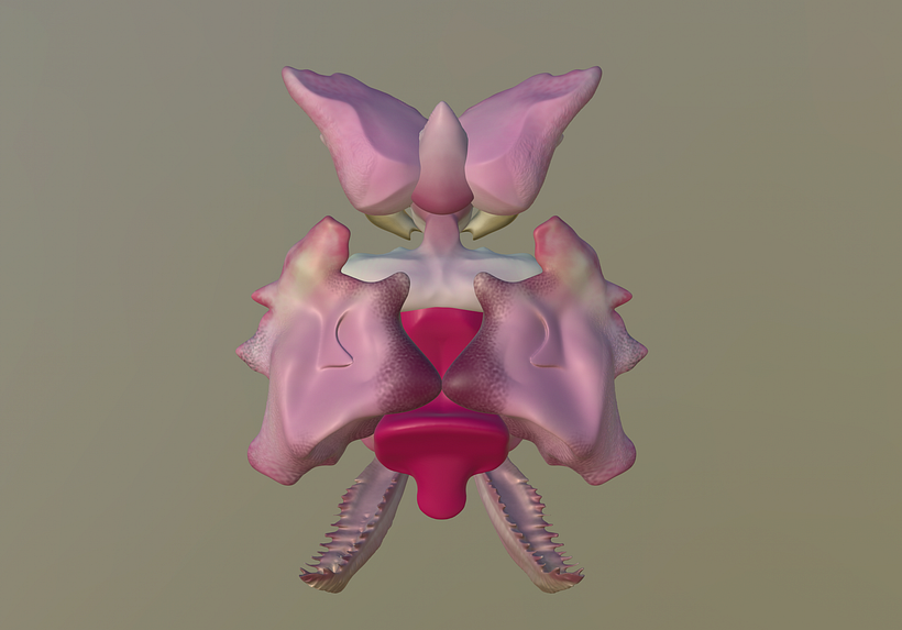 El Bixo Raro. 3D character creation. 8