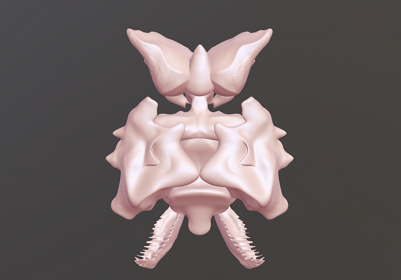 El Bixo Raro. 3D character creation. 5