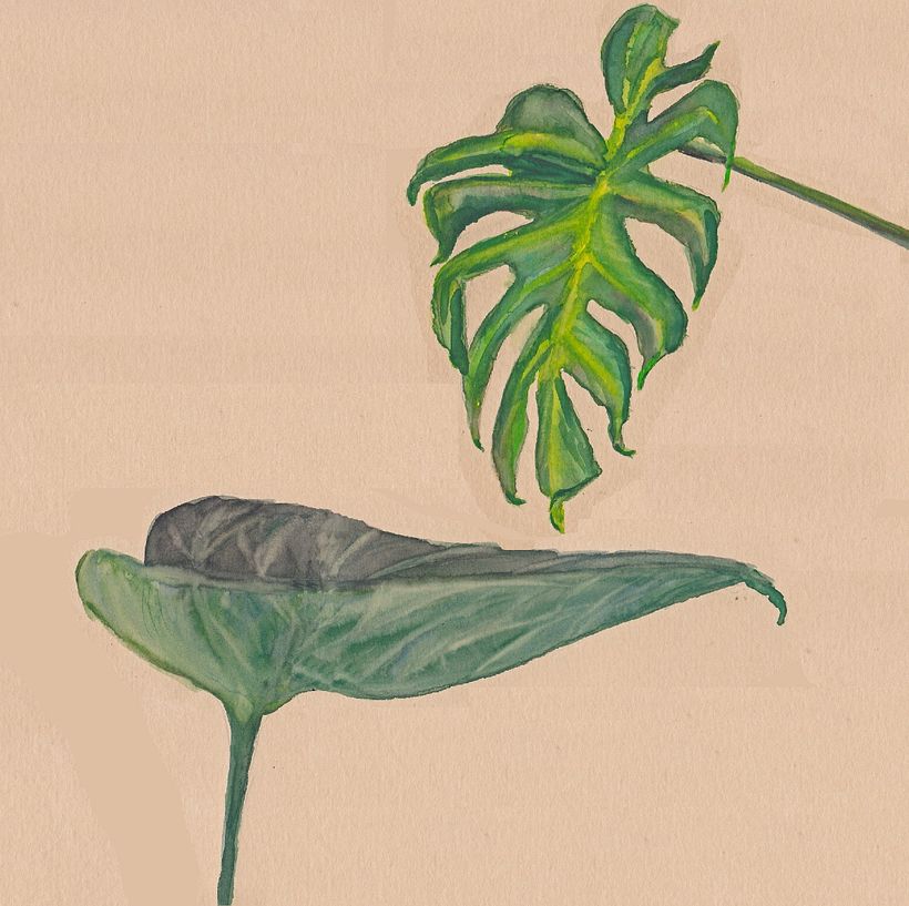 ... and leaves ...