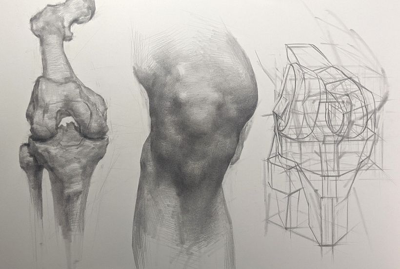 Knee drawing, preparation for my private, online workshop in November (see danthompsonart.com) 1