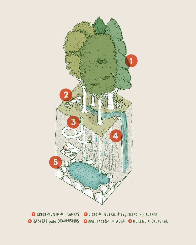 Endémico Magazine 1
