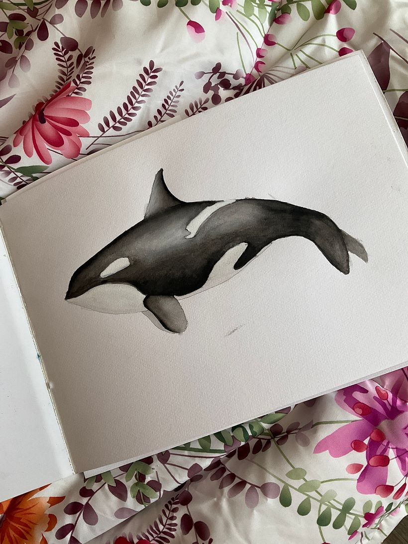 Mi proyecto del curso: Técnicas de ilustración naturalista: ballenas en acuarela 2