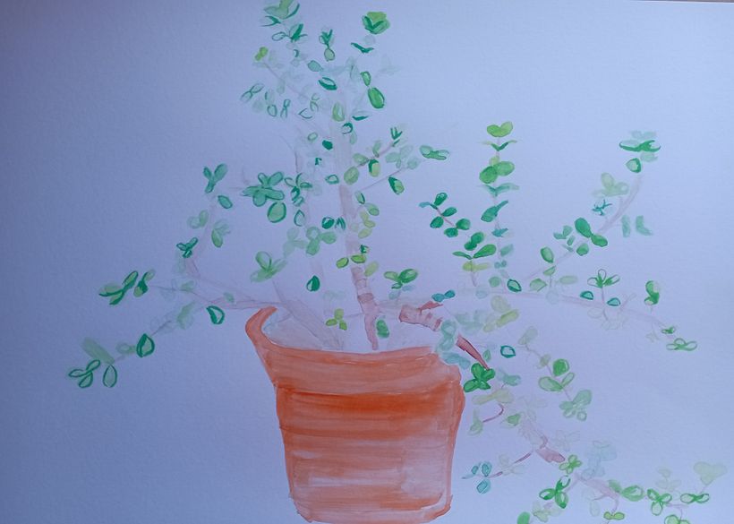 Mi proyecto del curso: Naturaleza ilustrada: una exploración creativa 4