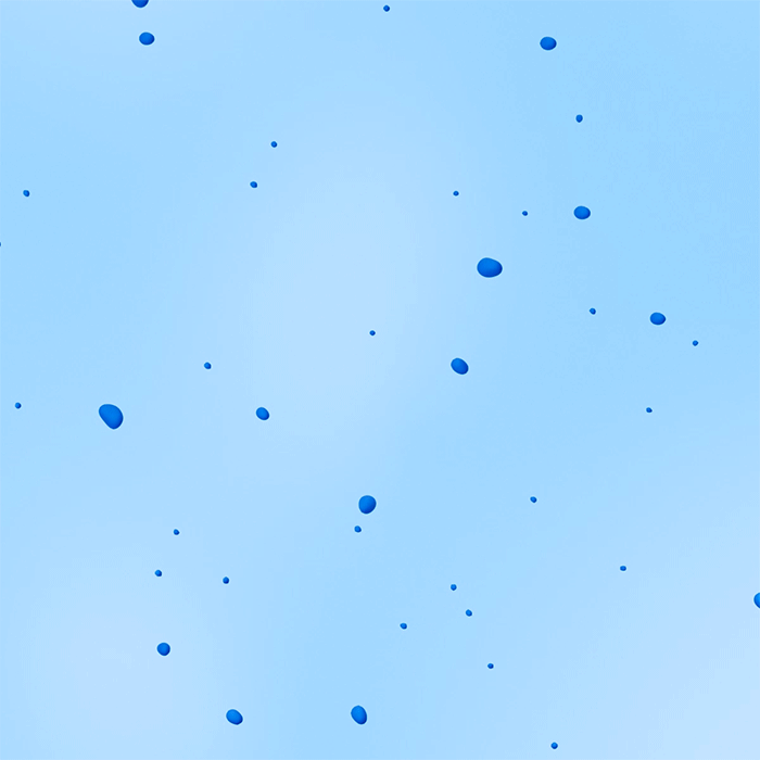 Steph Ramplin for Melissa: Animation + In-Store Installation 5