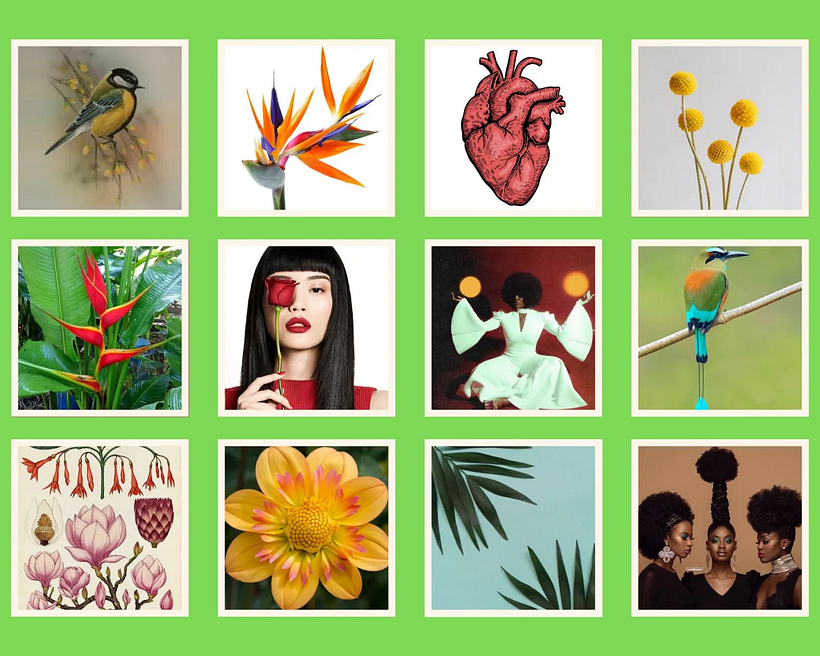 1. Este moodboard me ayudó a inspirarme rápidamente. Personalmente me gusta ilustras mujeres afro.