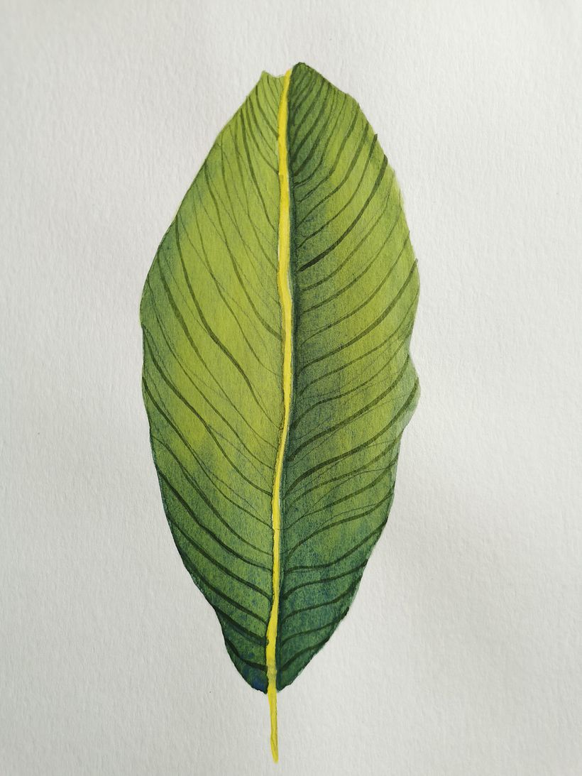 My project for course: Botanical Watercolor for Patterns 2