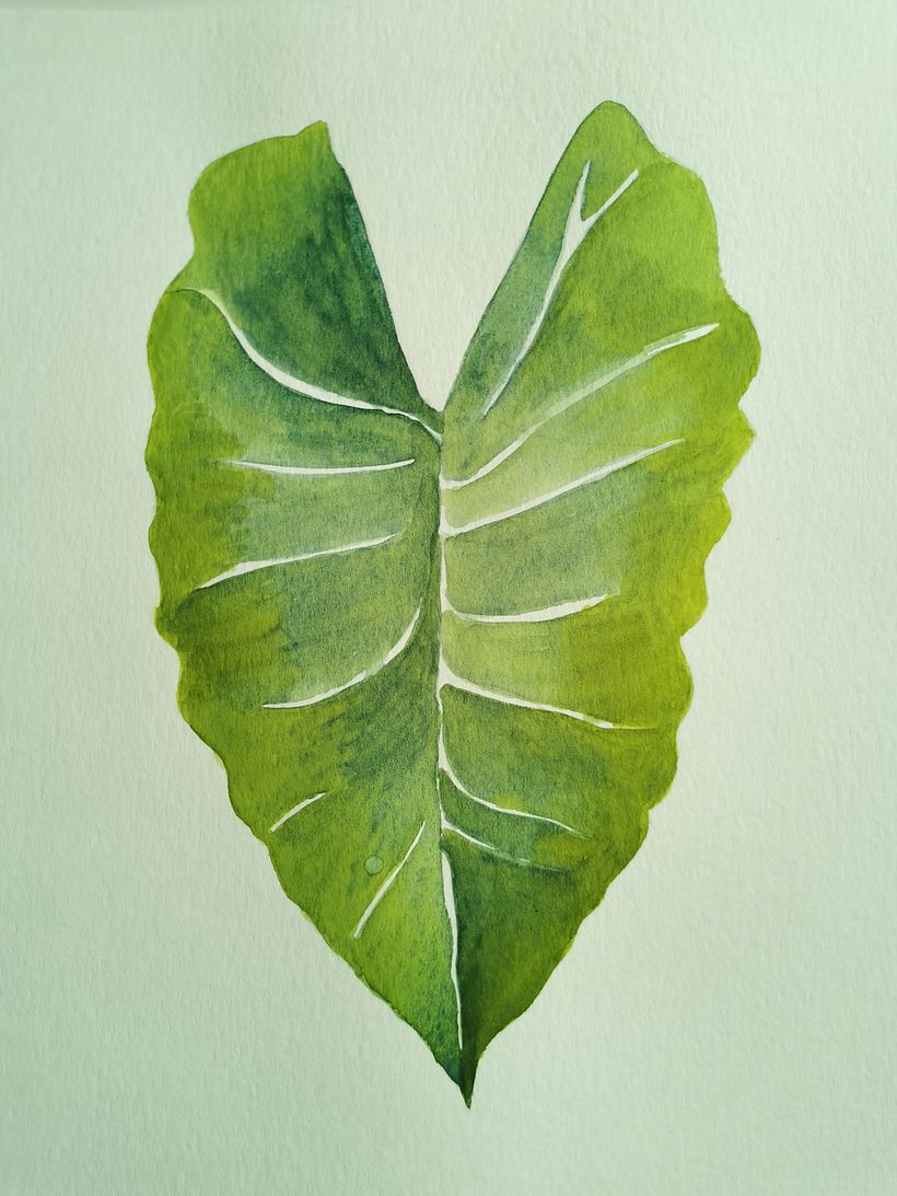 My project for course: Botanical Watercolor for Patterns 3
