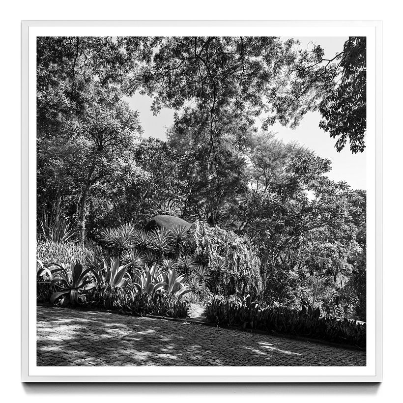 rio enquadrado#06, 2011 - sítio santo antônio da bica [1949]