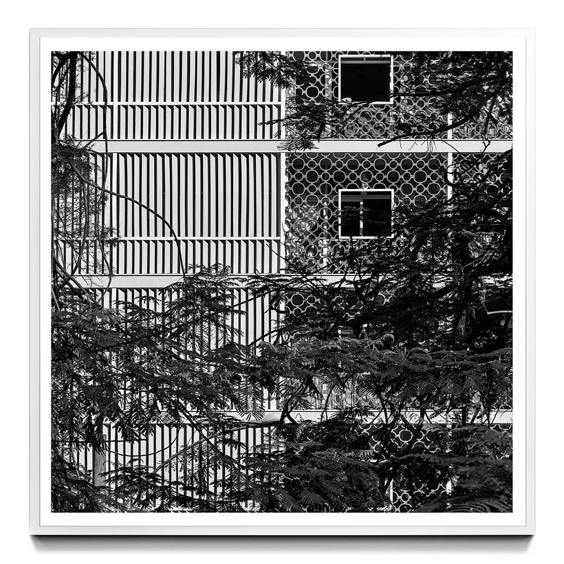 rio enquadrado#38, 2010 - parque guinle [1948]