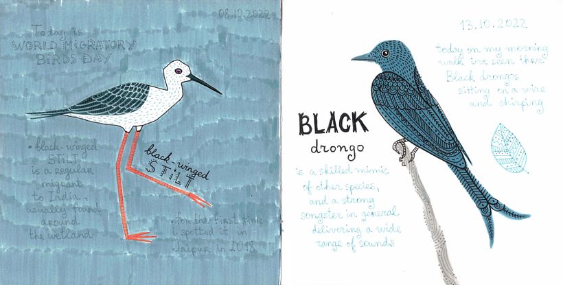 My project for course: Illustrated Life Journal: A Daily Mindful Practice 10