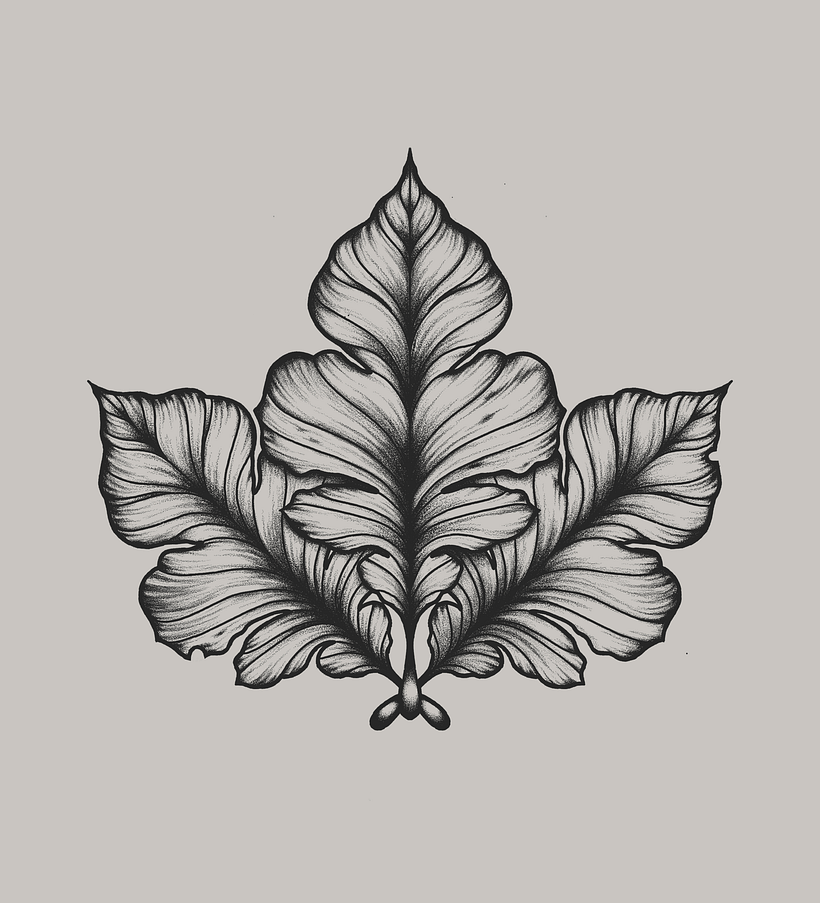 3 digital illustrations 1