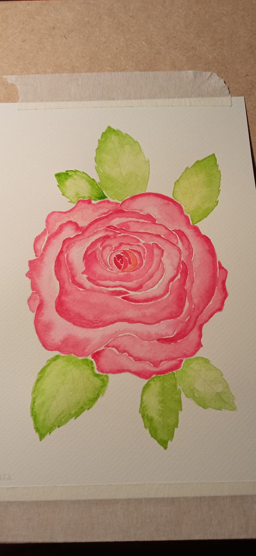 Flores 3