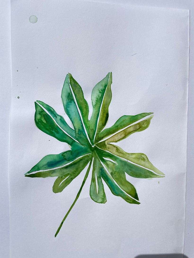 Water Colour Study 3