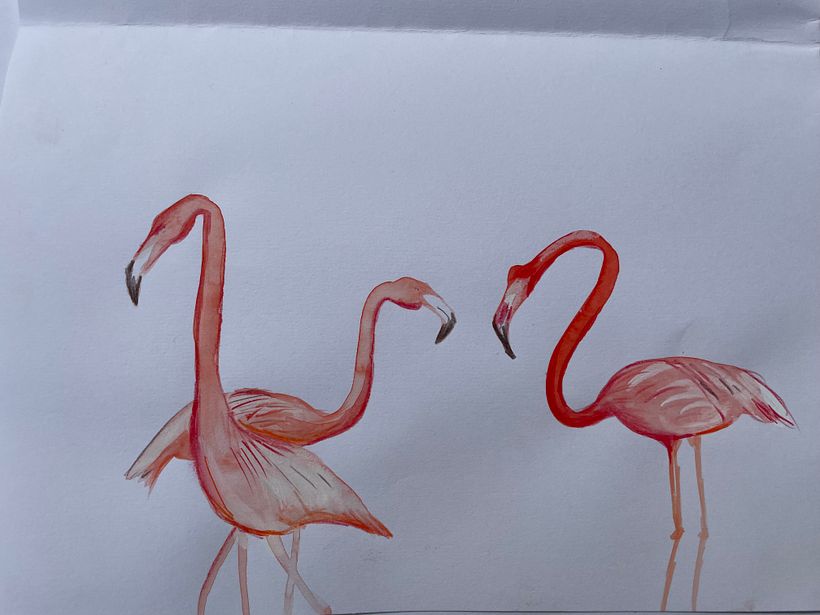 Water Colour Study 4