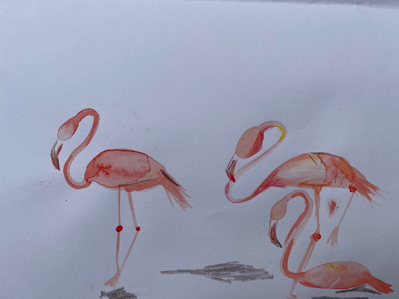 Water Colour Study 5