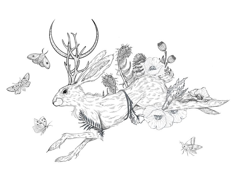 My project for course: Natural Illustration with Digital Painting 4