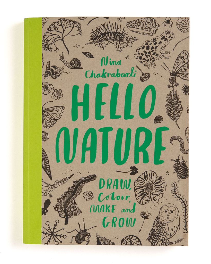 Art and Interior Art activity book-  all by Nina Chakrabarti