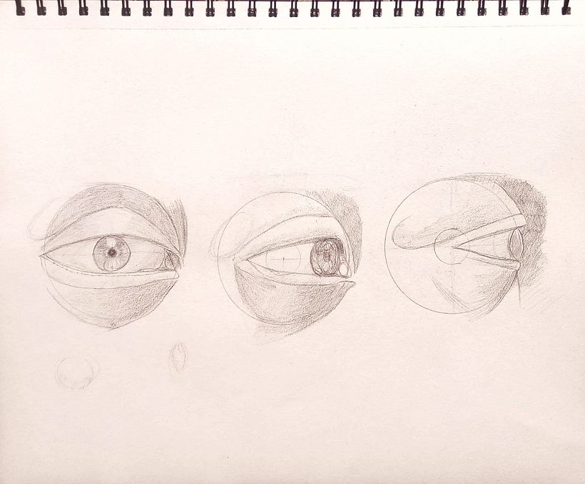 Mi proyecto del curso: Dibujo anatómico de la cabeza humana 9