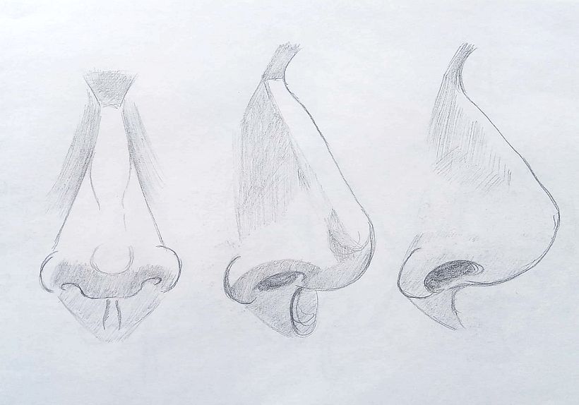 Mi proyecto del curso: Dibujo anatómico de la cabeza humana 10