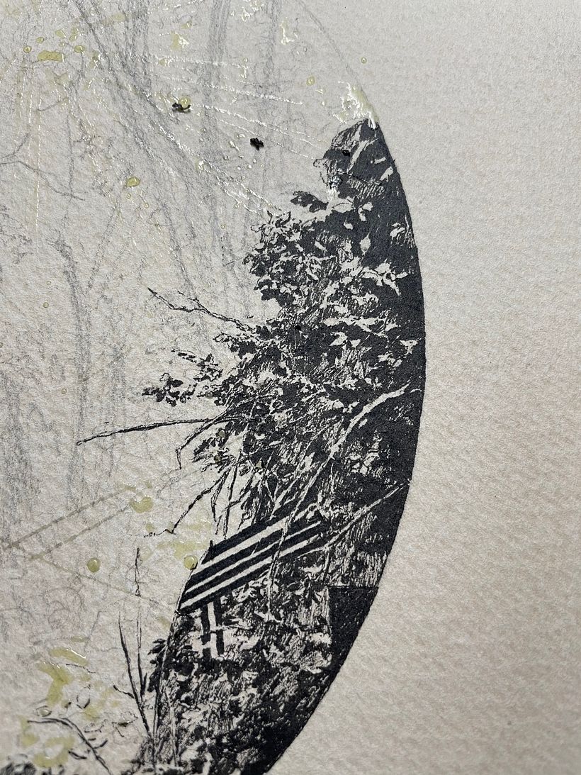 Forest Drawing 4