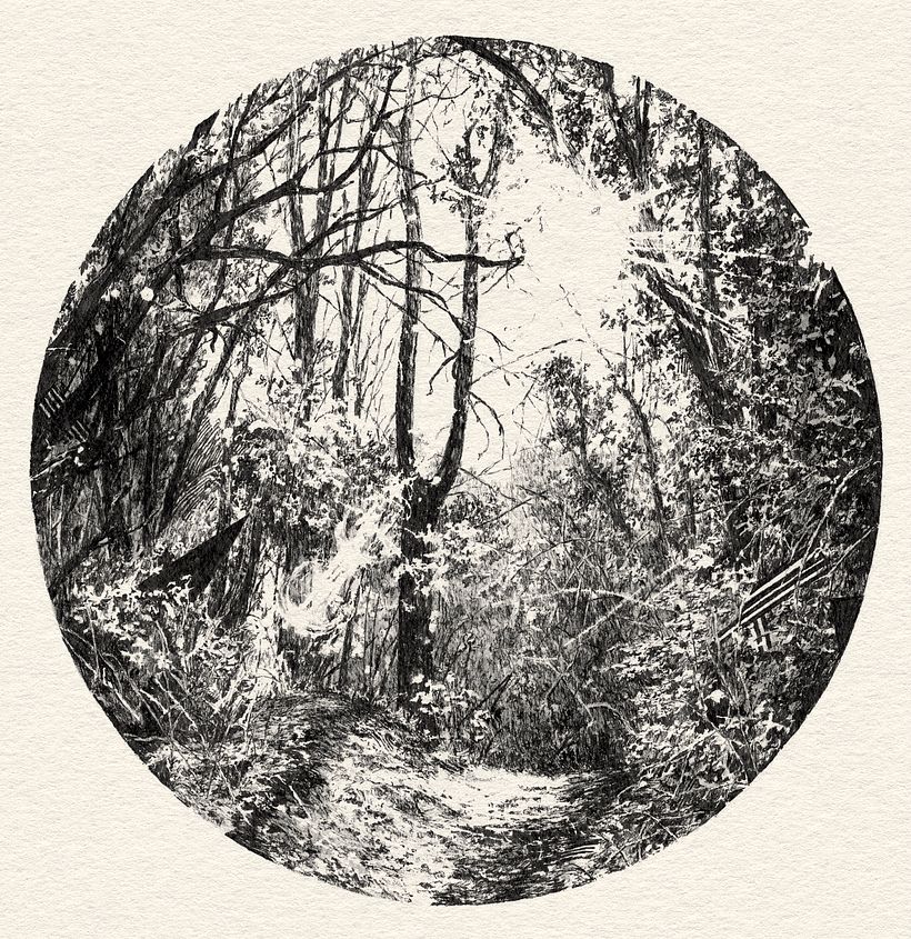 Forest Drawing 6