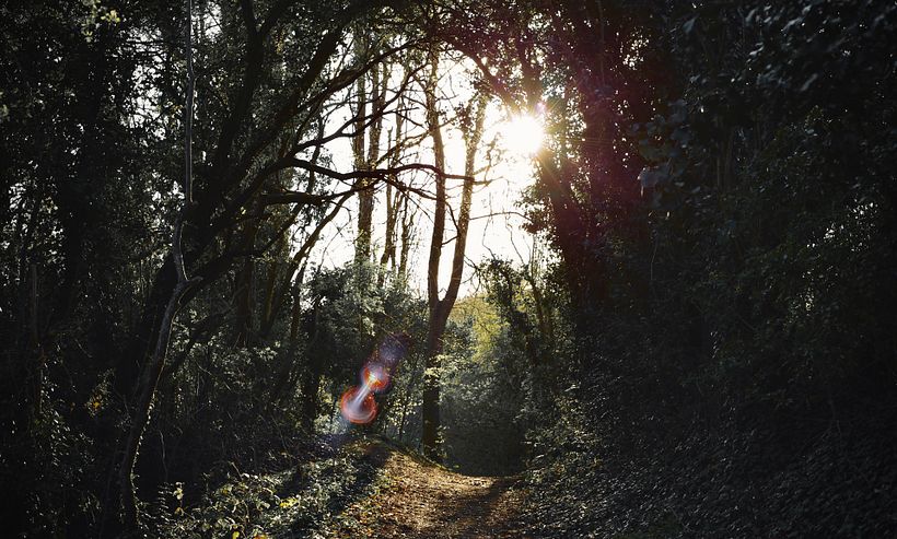 Forest Drawing 2