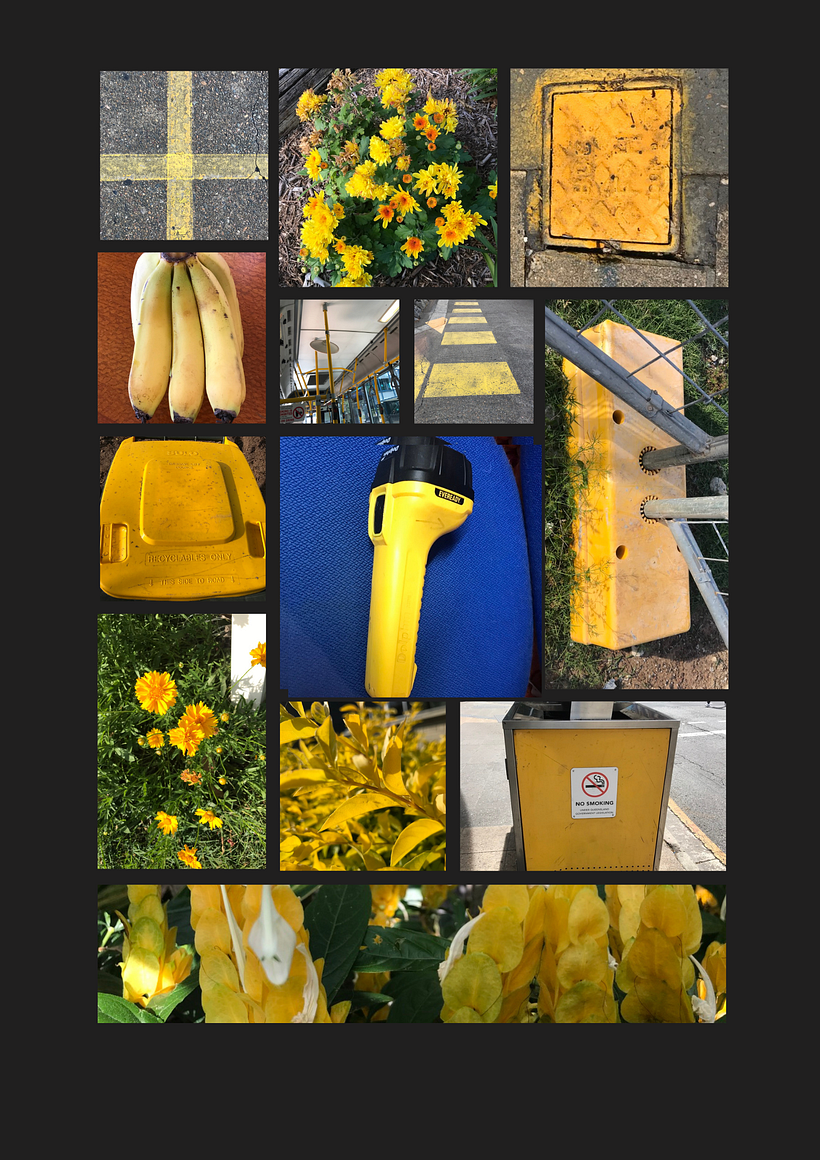 Yellow...much easier to find than Pariedolias.