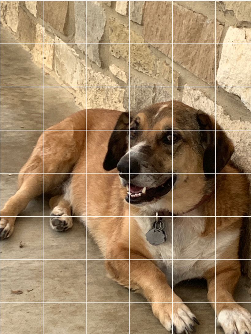 grid photo