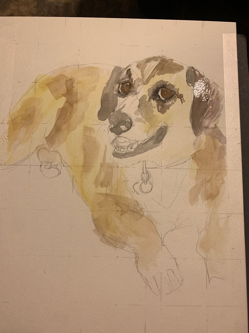 stage one layer of watercolor