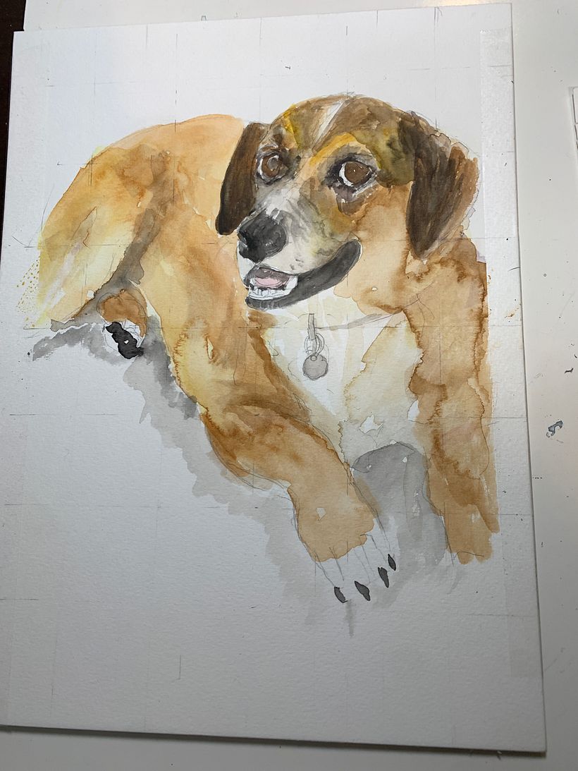 stage 2 watercolor