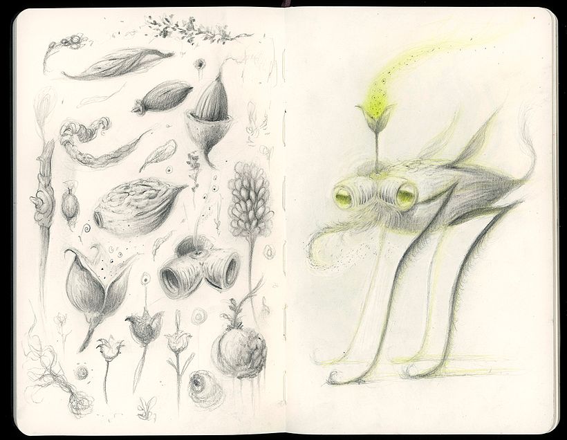 Esta es la primera de las criaturas surgida a partir de formas orgánicas de origen vegetal