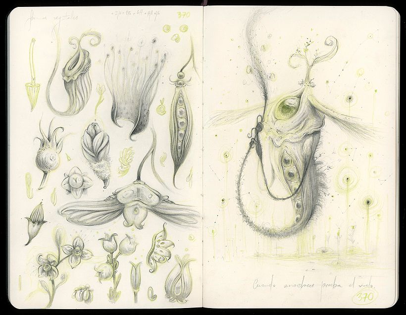 Una nueva criatura a partir de formas vegetales. Con la misma técnica que la anterior, pero distintas referencias