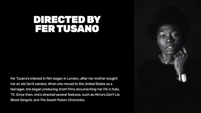 Film Pitch Template 3