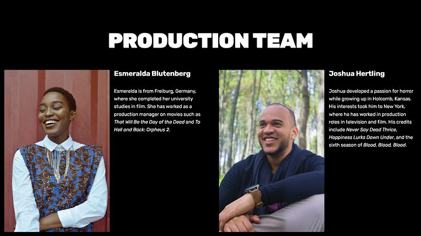 Film Pitch Template 6