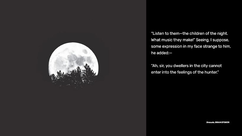 Film Pitch Template 13