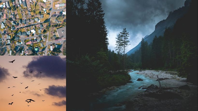 Film Pitch Template 14