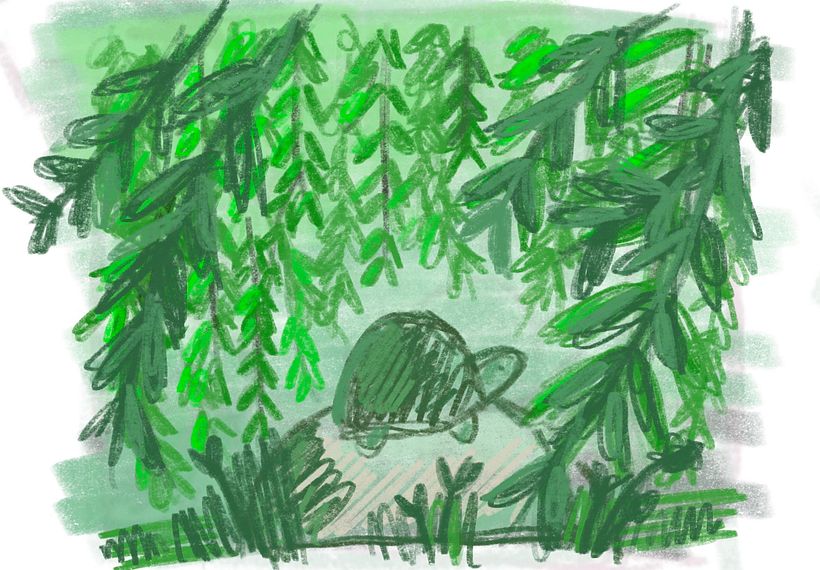Turtle under a Willow Tree - My project for course: Atmospheric Scenes in Procreate: Paint with Color and Light 2