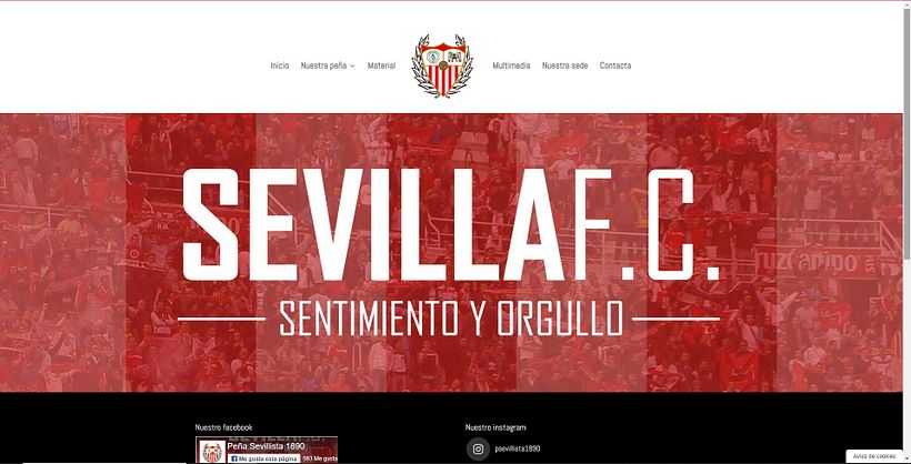Mi proyecto del curso: Creación de una web profesional con WordPress 1