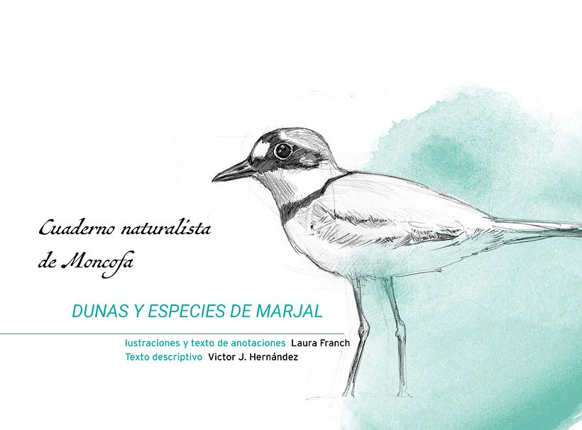 Portada del Cuaderno Naturalista. Prototipo de libro realizado durante mi proyecto integrado en la EASD de Castelló. L Franch