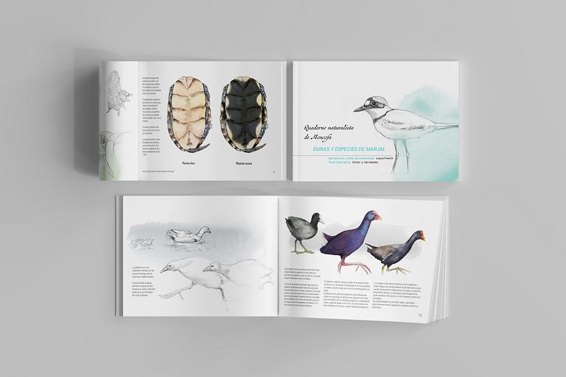 Algunas muestras del interior del libro-cuaderno de campo