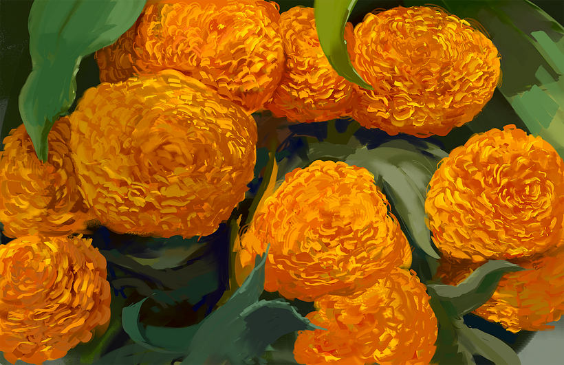 Proyecto Personal: Mexican Power 8