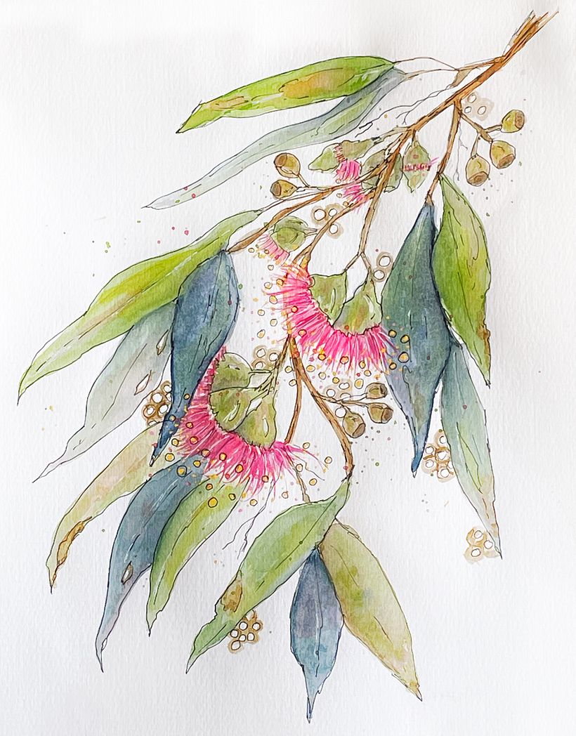 Exploration and simplification of Flowering Gums (c) Sooz
