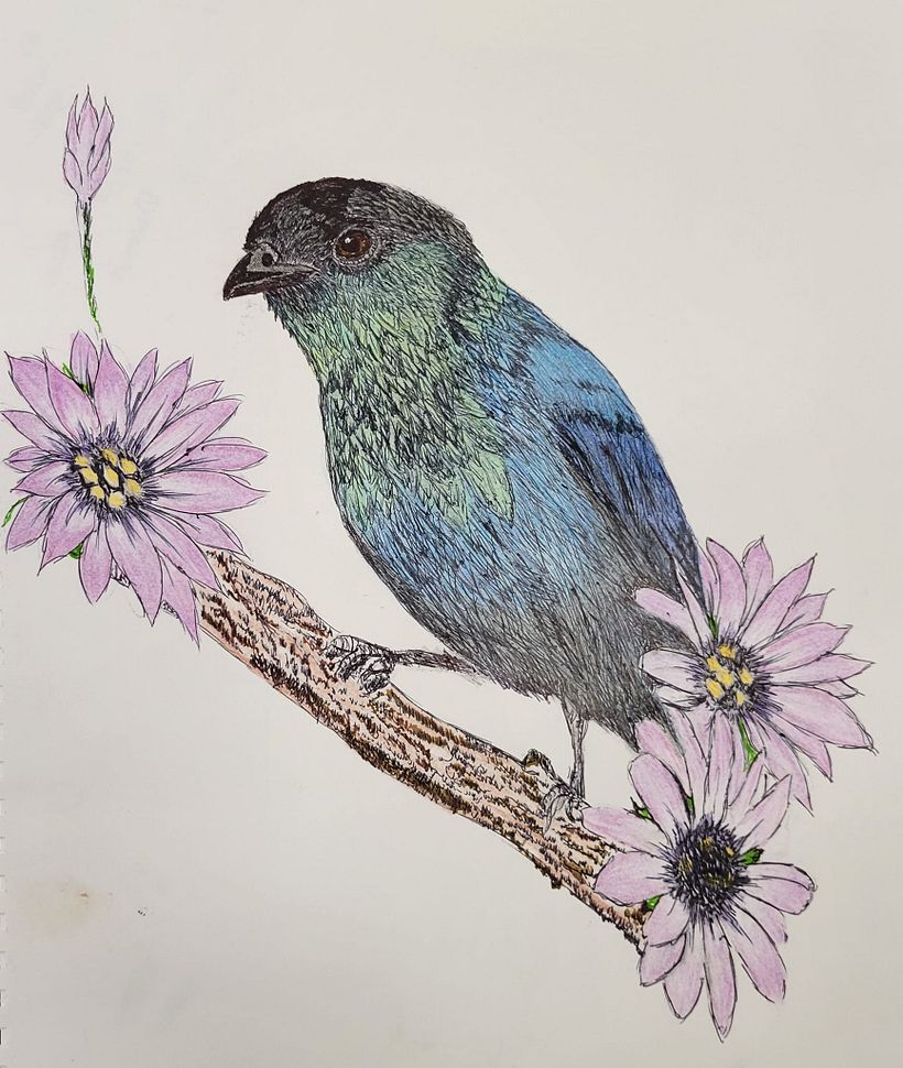 My project for course: Naturalist Illustration with Ballpoint Pen  1
