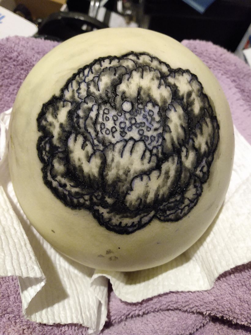 Lined and Shaded Melon
